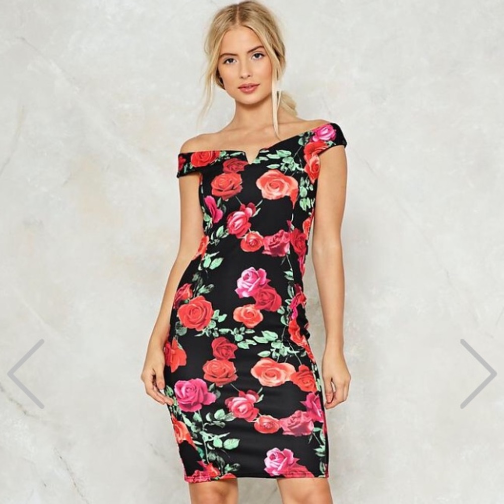 Beautiful bodycon dress.